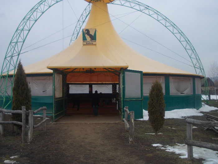 DSCN6774_2252