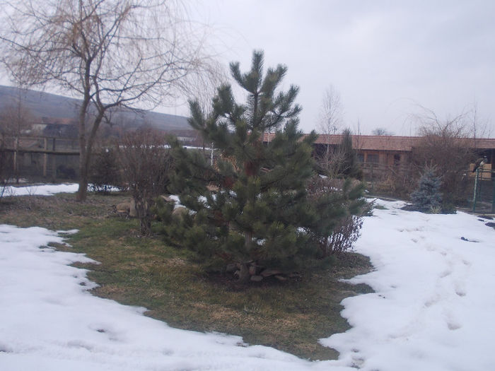 DSCN6781_2259