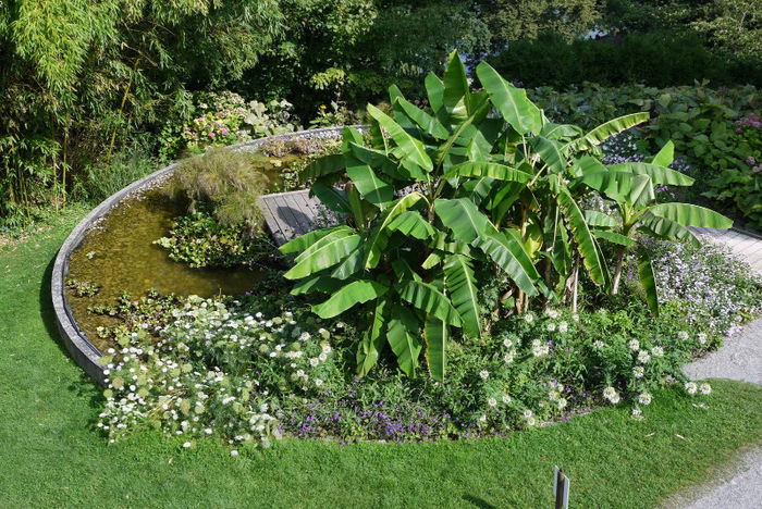 20120825_001 - Insel Mainau