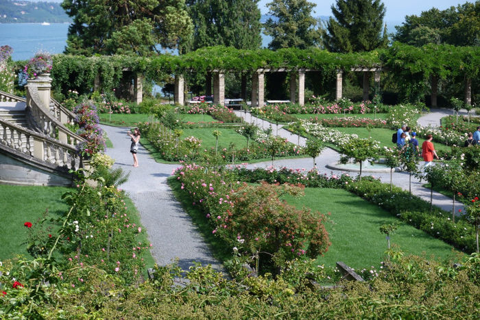 20120825_007 - Insel Mainau