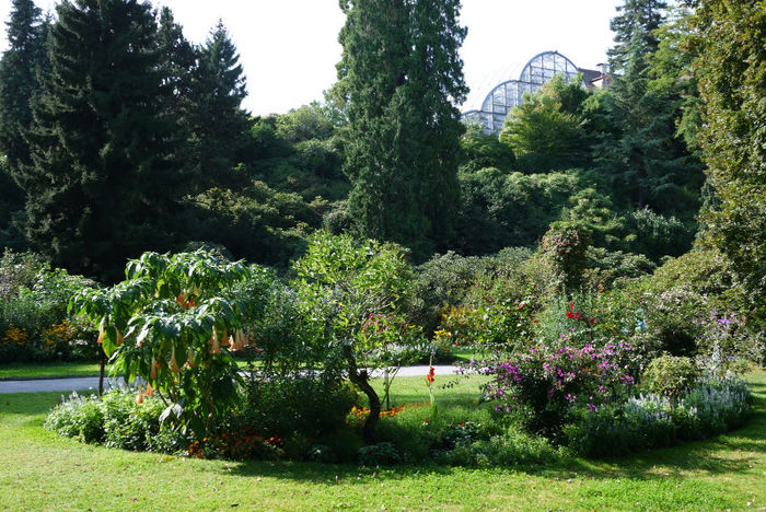 20120825_015 - Insel Mainau