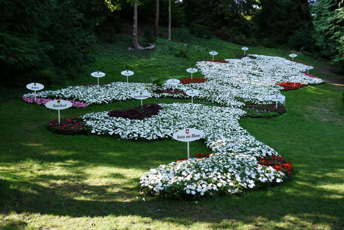 20120825_027 - Insel Mainau