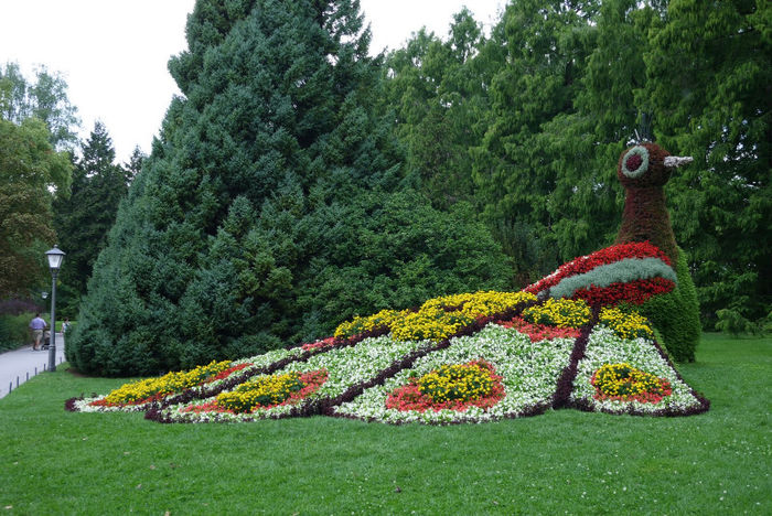 20120825_050 - Insel Mainau