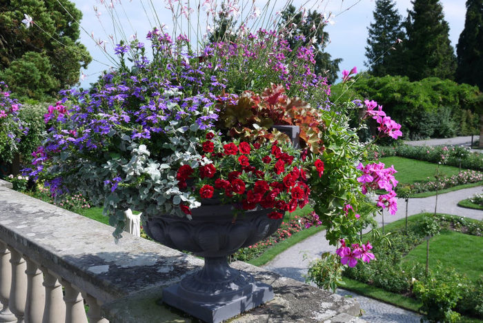 20120825_993 - Insel Mainau