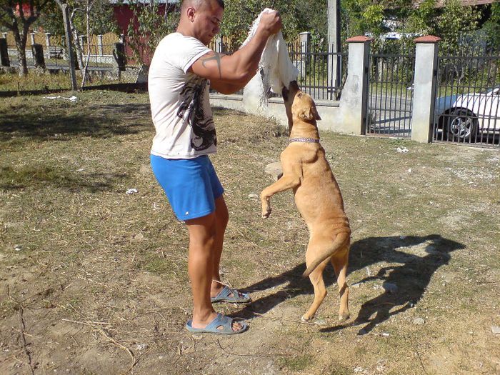 DSC03404 - cainele meu presa canario