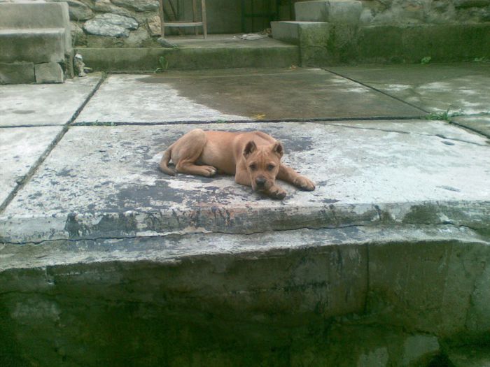 24062012(004); la 3 luni
