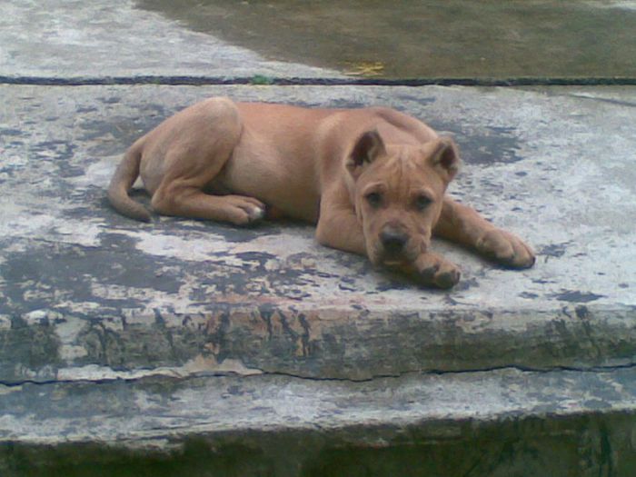 24062012(005); la 3 luni
