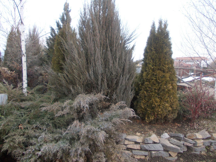 DSCN6795_2273