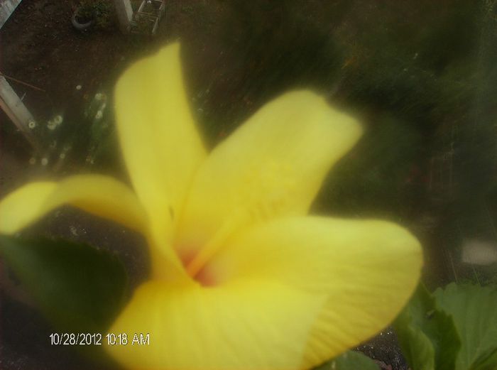 octombrie 1 2012 017