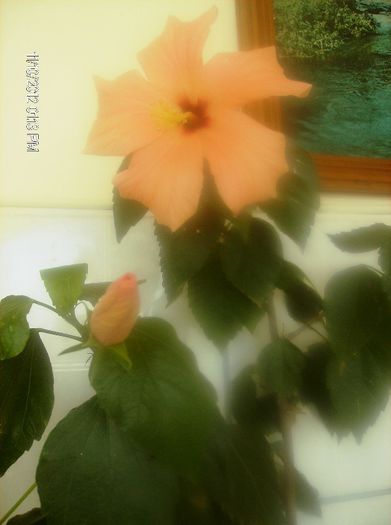 octombrie 1 2012 058