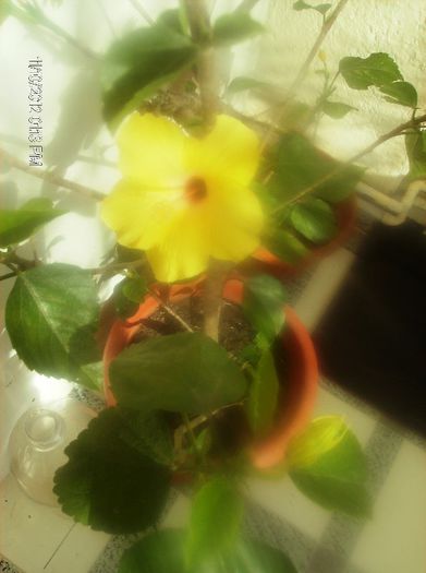 octombrie 1 2012 059