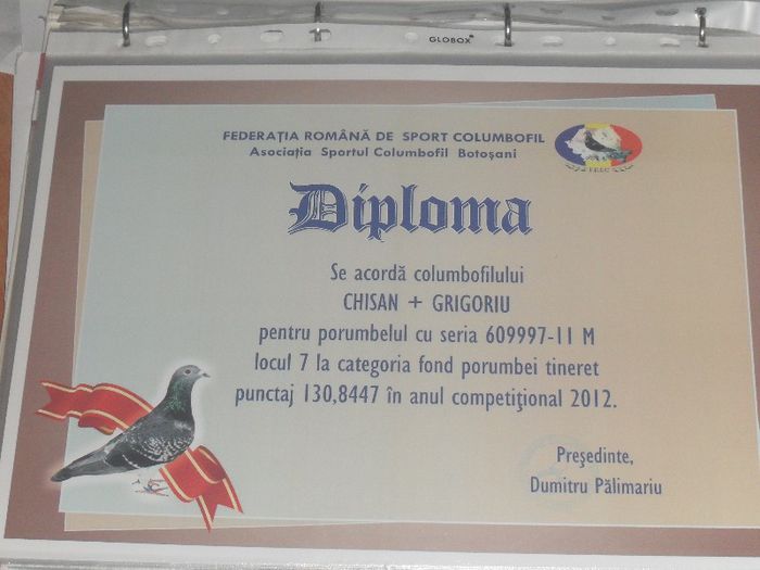 060997-2011 NEGRU - DIPLOME 2012