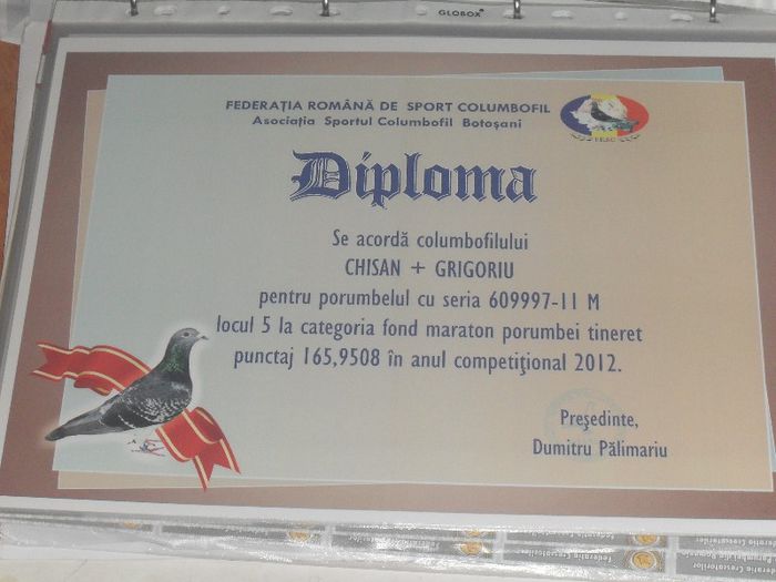 0609997-2011 NEGRU - DIPLOME 2012