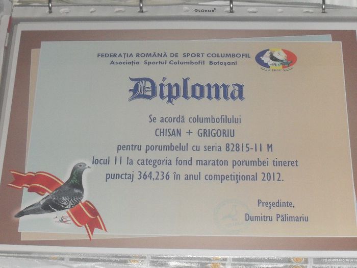 082815-2011ALBASTRU P.A - DIPLOME 2012