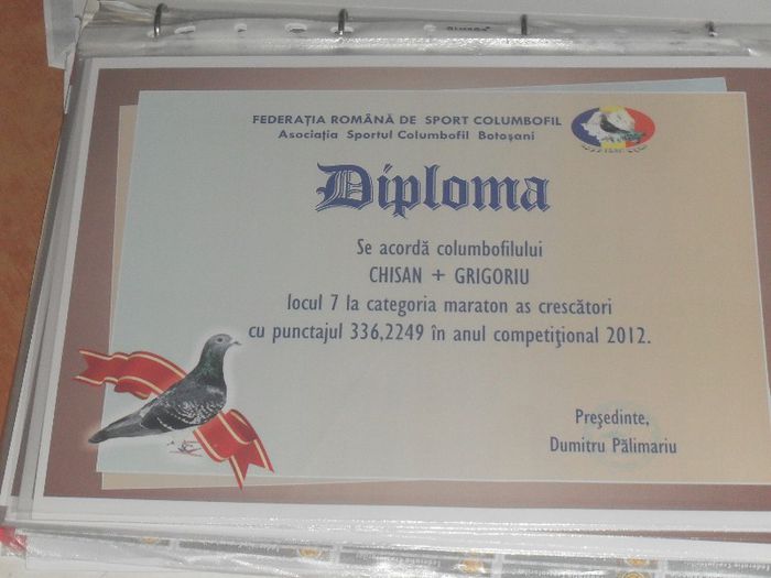 LOC 7 AS MARATON CRESCATOOR - DIPLOME 2012