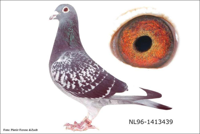 Liz Taylor mama la mascul hung 05-07-45722