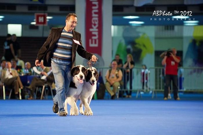  - j-EURO DOG SHOW-BUCURESTI 2012