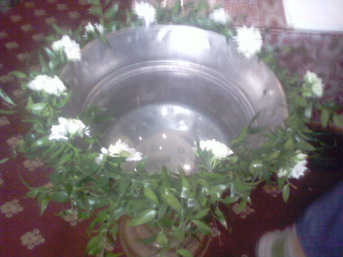 Fotografii-0364