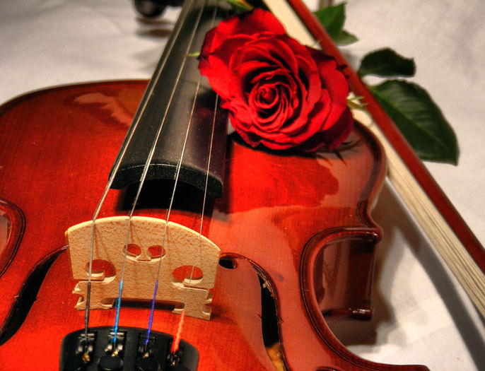 violin_by_dudzio85