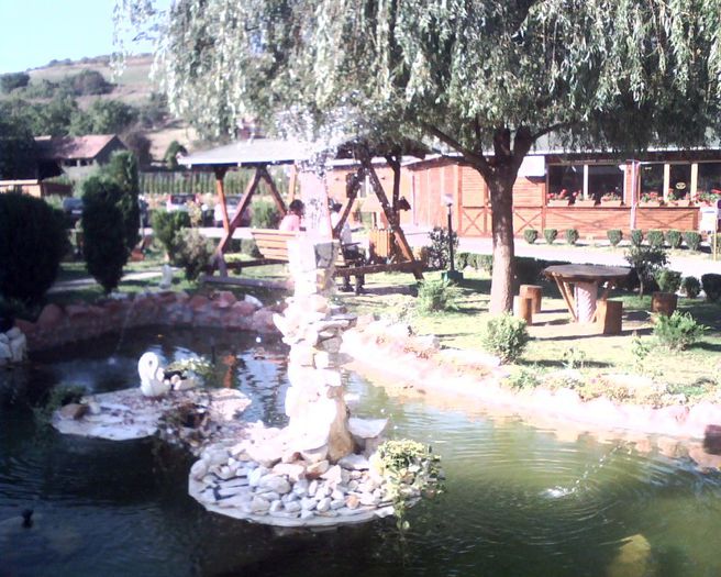 la pestisorul de aur; la pestisorul de aur
