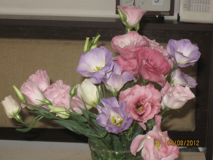 IMG_3085 - Aranjamente diverse