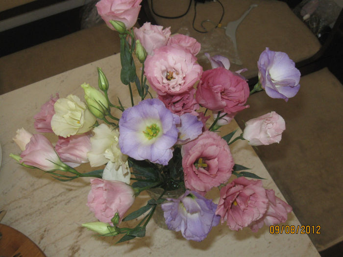 IMG_3090 - Aranjamente diverse