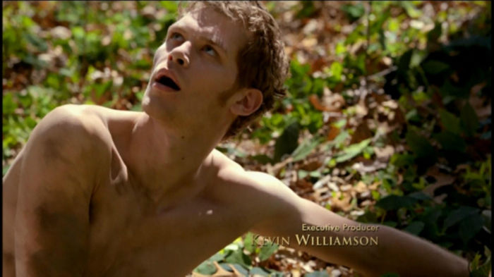 ღKlausღ - xo__Joseph Morgan__xo