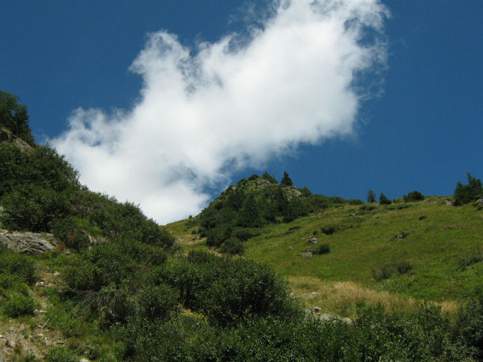 Peisaj - Transfagarasan