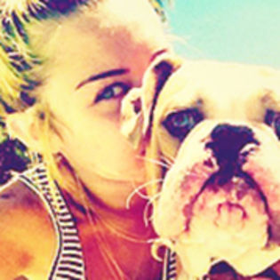 Miluzzu ;x Icons =]] .. ! (31)