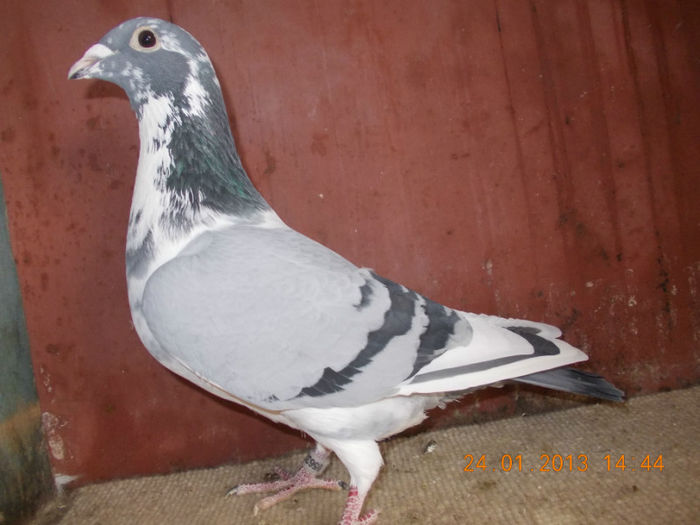 042 - E-Amintiri