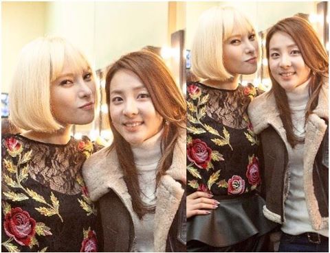 dara and gummy