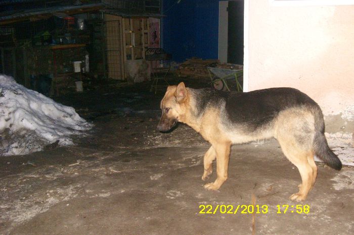 max 7 luni de vanzare