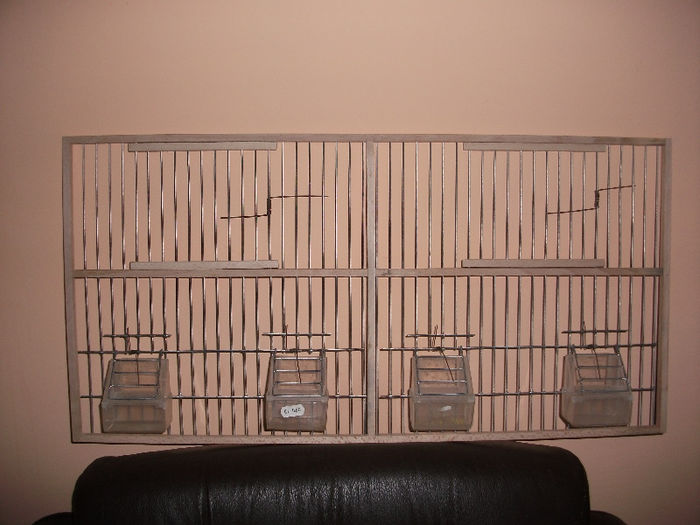 Picture 833 - fete boxe canari