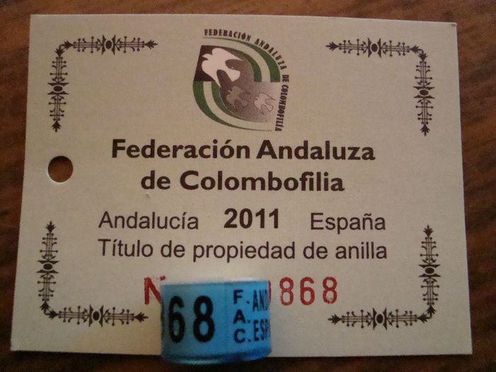 F.A.C. ESPANA. ANDALUZA  2o11 - ANDALUCIA   SPANIA