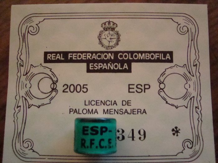 ESP-  2OO5  R.F.C.E. - SPANIA