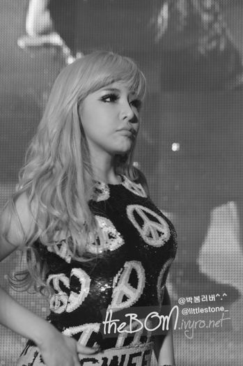 park b - 2ne1 4