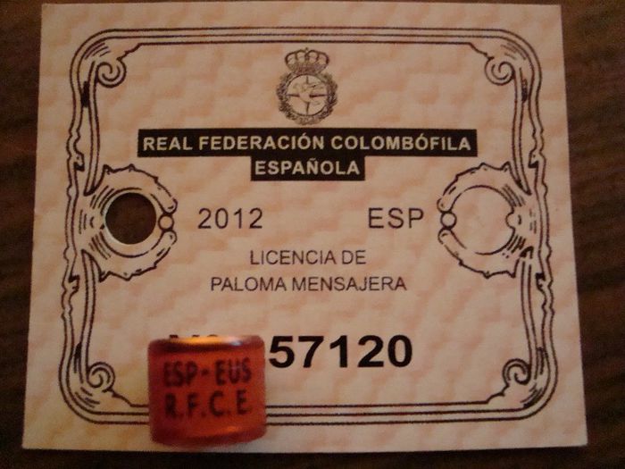 ESP-EUS  2O12 R.F.C.E. - SPANIA