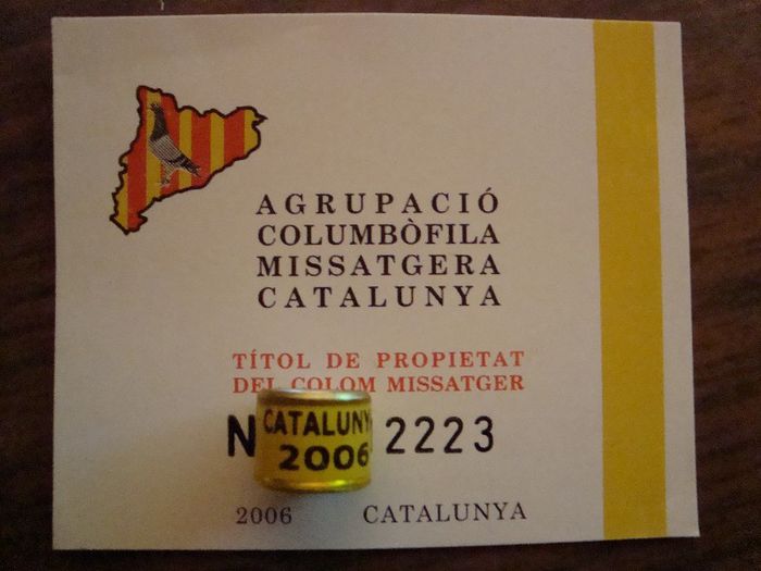 CATALUNYA  2OO6