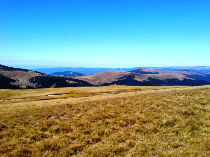 DSC00237 - Transalpina