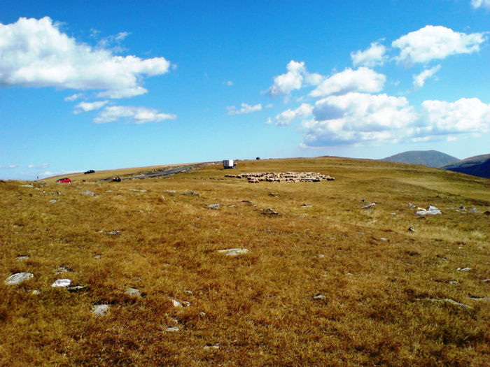 DSC00241 - Transalpina