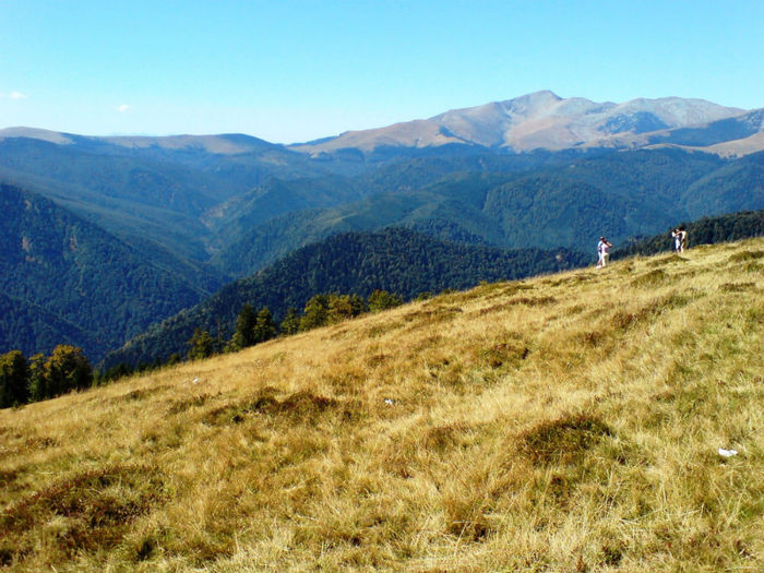 DSC00252 - Transalpina