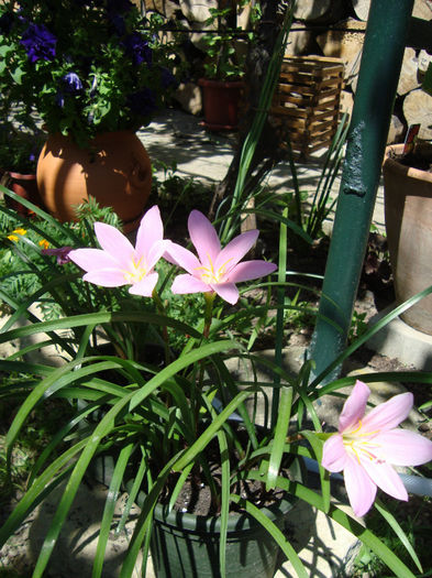 DSC06307