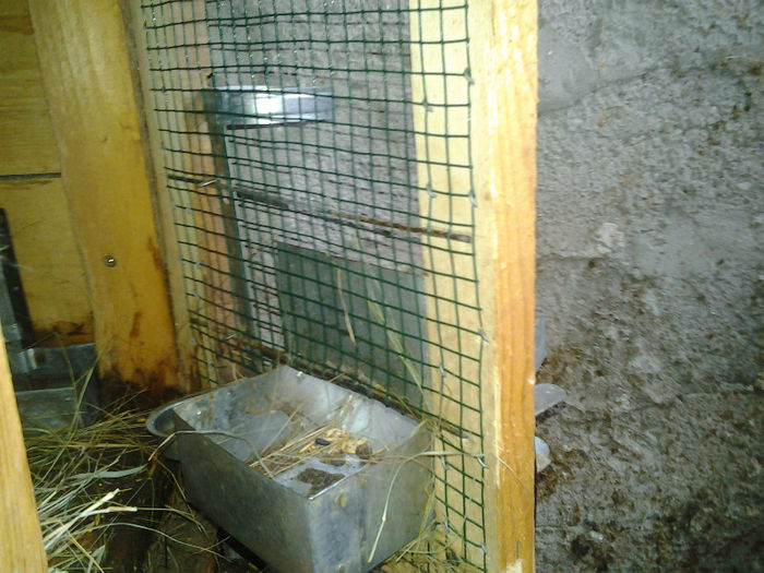 2013-02-10 12.15.36 - Hranitori iepuri- de vanzare