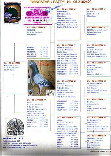 PED VERKERK; VANDUTA IN TOAMNA ANULUI 2011
