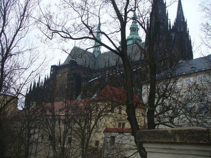 vedere a catedralei Sf Vitus - orasul cu 100 de turnuri-Praga vazut prin ochii mei
