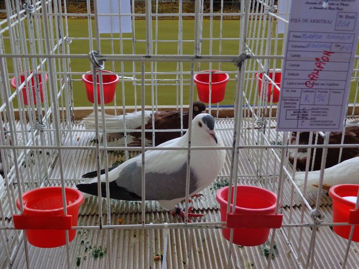 DSC00850