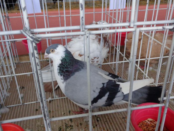 DSC00905