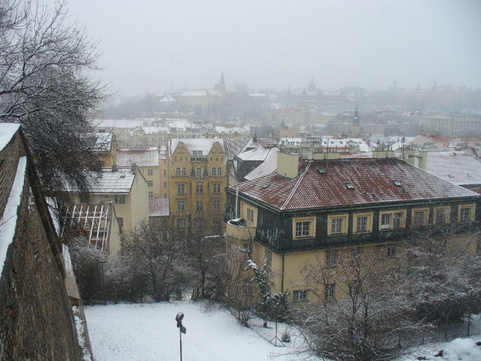 P1160874 - Praga 19_02_2013