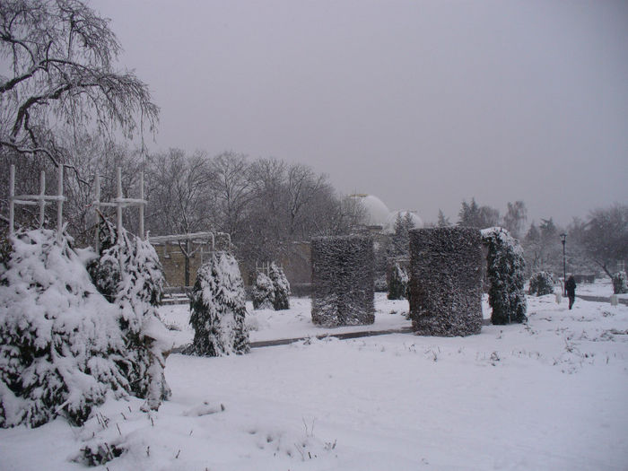 P1160921 - Praga 19_02_2013