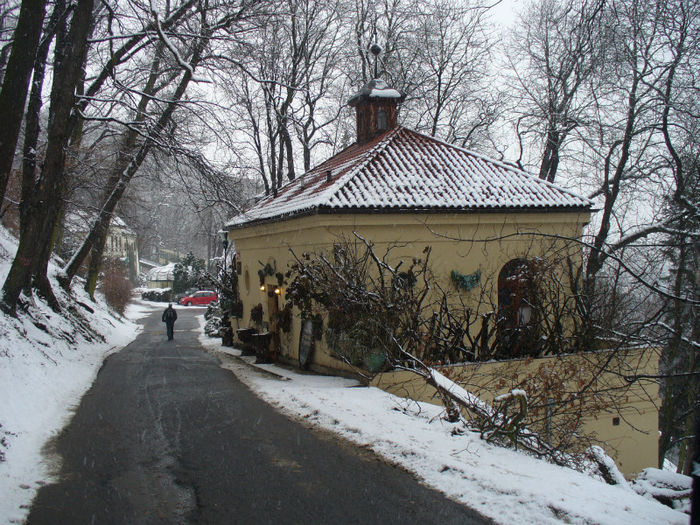 muzeul groazei - Praga 19_02_2013